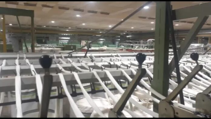 Algodonera Avellaneda enfrenta corte de luz por deuda millonaria