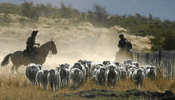 Argentina Rinde Homenaje a sus Trabajadores Rurales en su Día