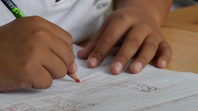Aumento de la Asignación Universal por Hijo: ¿Cuánto se cobrará en noviembre de 2026?