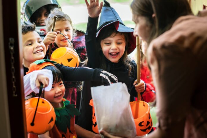 Calabazas de Halloween: Precios y Dónde Encontrarlas en Argentina
