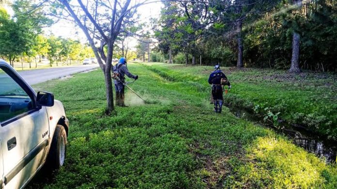 Denuncian que la recolección de basura consume el 42% de la recaudación municipal