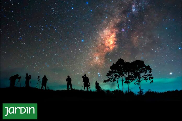 El Cielo Nocturno en Peligro: La Contaminación Lumínica Afecta a Más de la Mitad de los Argentinos