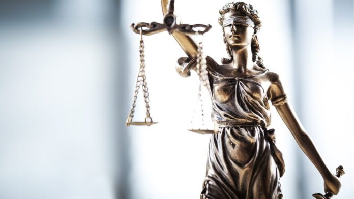 El Desafío del Control Judicial: ¿Garantía de Justicia o Impunidad?