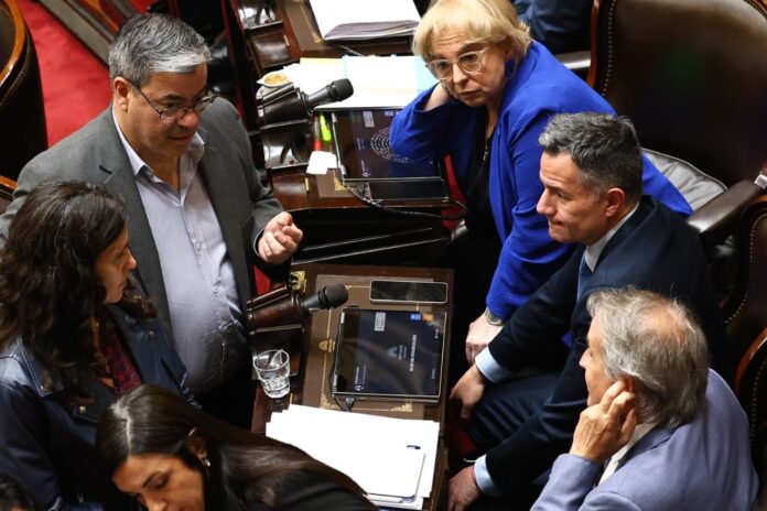 El oficialismo y el peronismo se unen para regular la atención de personas con discapacidad
