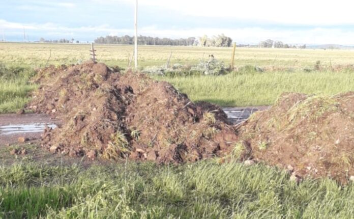Escándalo en Olavarría: Productores indignados por bloqueo de calle ante ola de robos de ganado