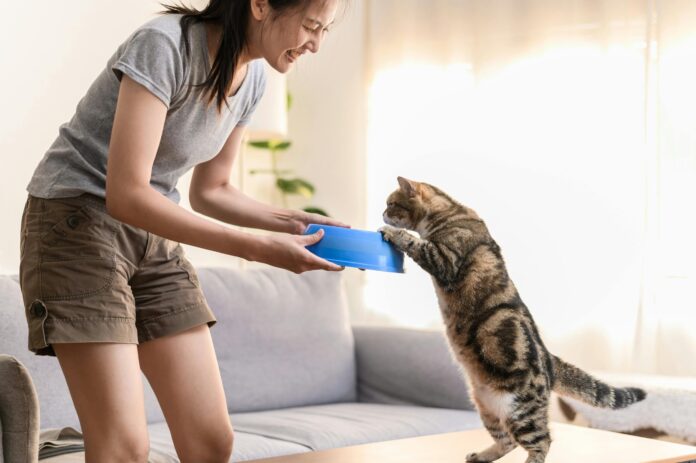 Hablar con Mascotas: Un Reflejo de Sensibilidad y Conexión Emocional