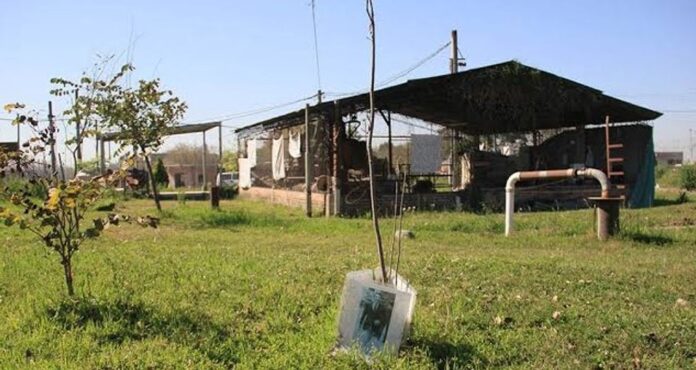 Identifican restos de joven desaparecido en 1976 en Tucumán