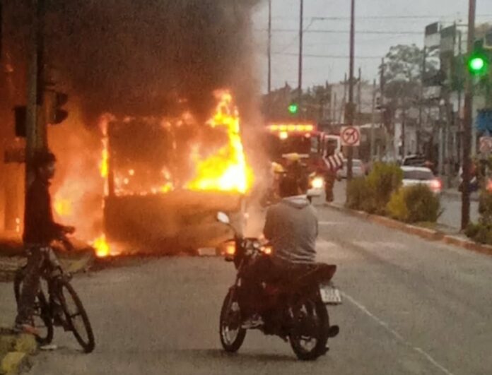 Milagro en Berazategui: Pasajeros escapan ilesos de colectivo en llamas