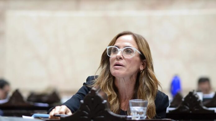Tolosa Paz Anuncia Mejora en Proyecto de Discapacidad: «Se Corregieron Derechos Fundamentales»