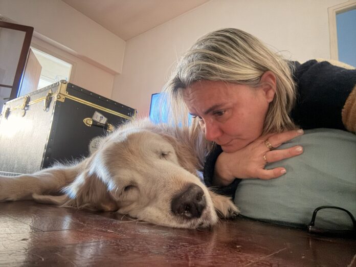 Una Historia de Amor y Pérdida: La Lucha de una Familia por su Perra Mili